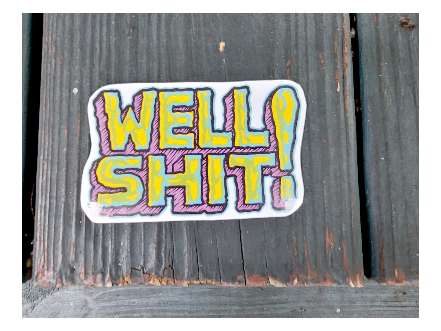 Funny Adult Language Sticker: Sarcastic Humor Decal-Well Shit